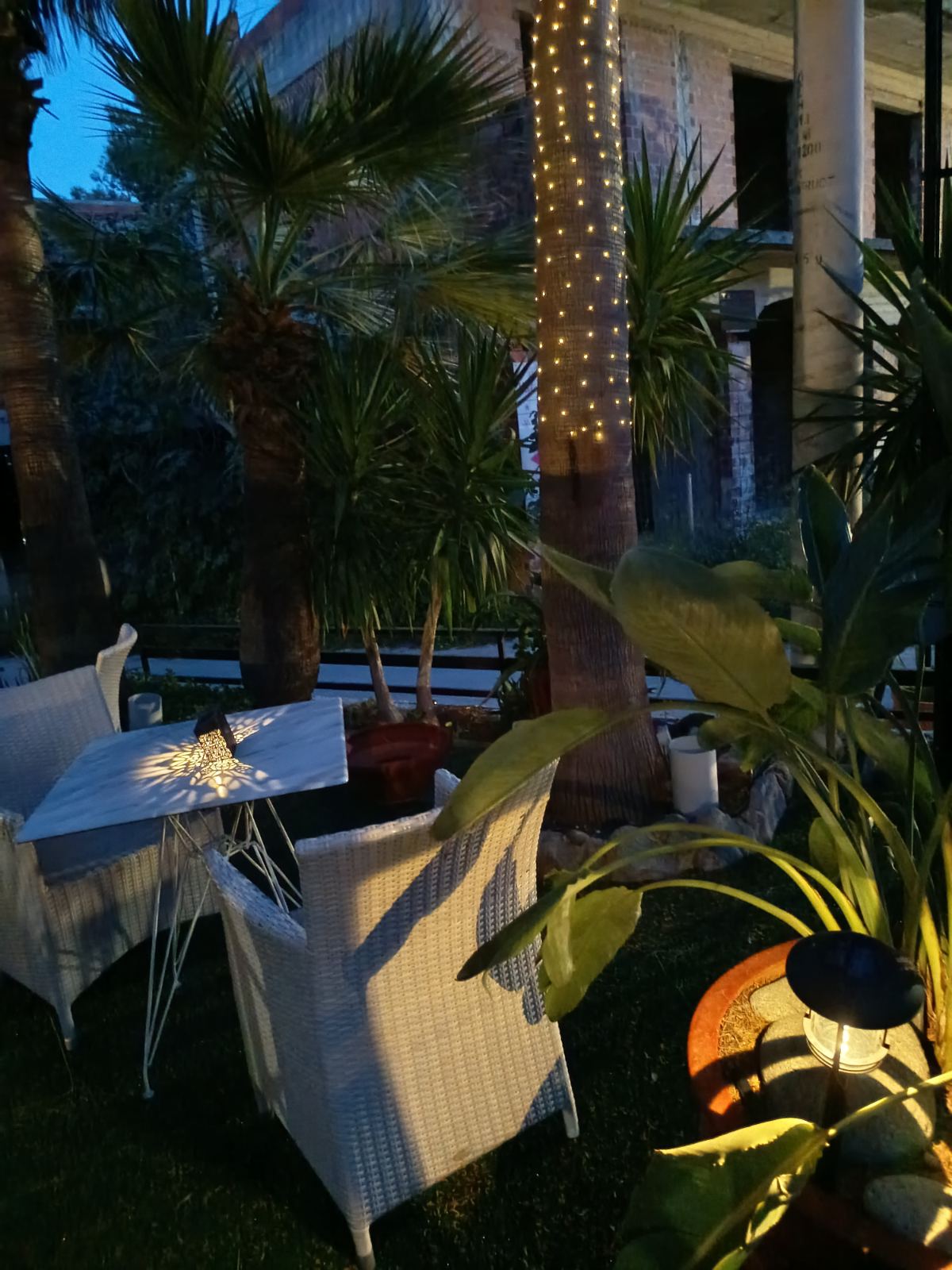 Cafe, bar y zona de desayuno - Hotel Possidon