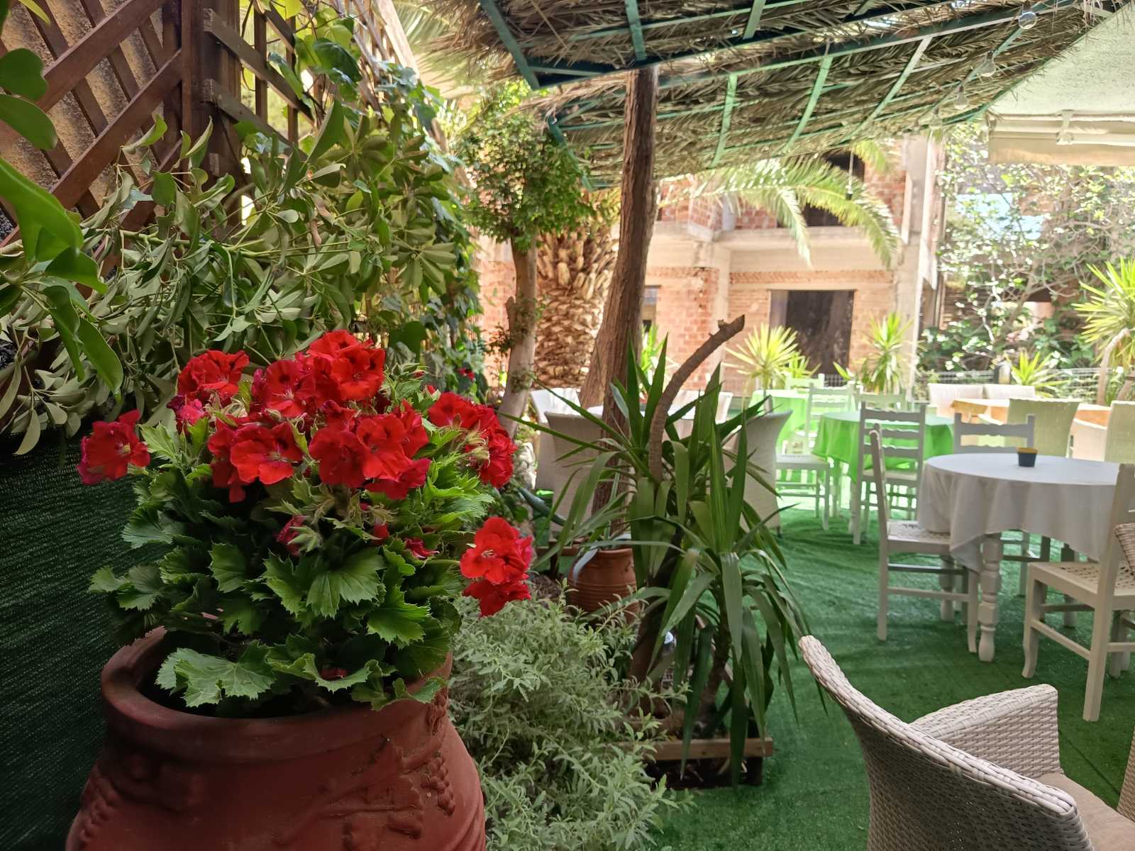 Cafe, bar y zona de desayuno - Hotel Possidon